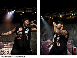 busta